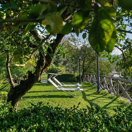 Villa Prota Vico Equense Dış mekan fotoğraf