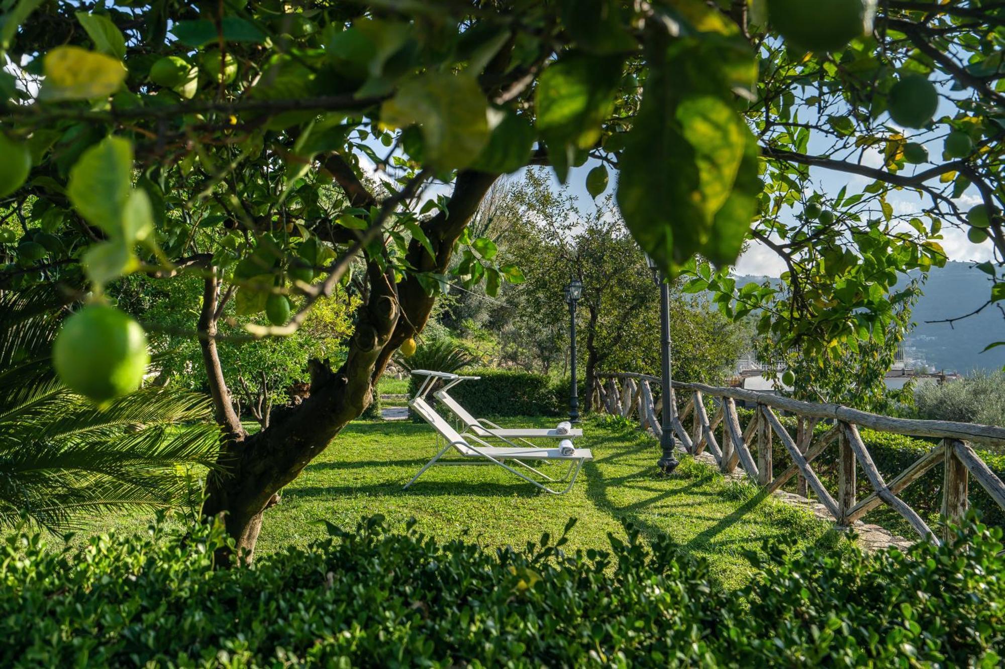 Villa Prota Vico Equense Dış mekan fotoğraf